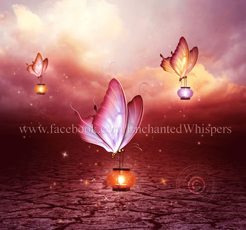 Butterfly Lights