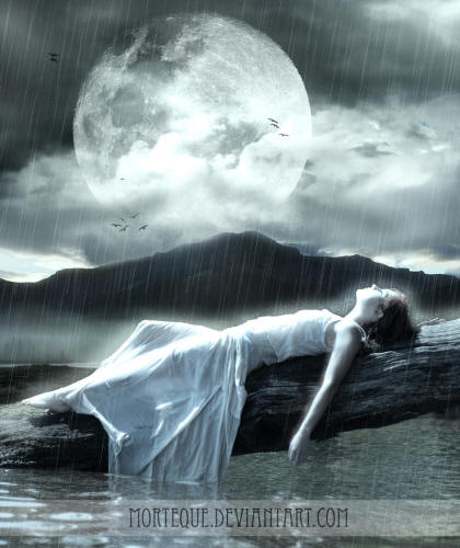 woman lying on fallen tree in water
