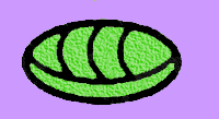 mayan symbol