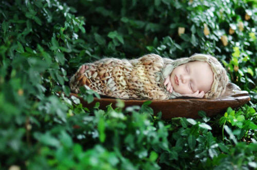 swaddled baby